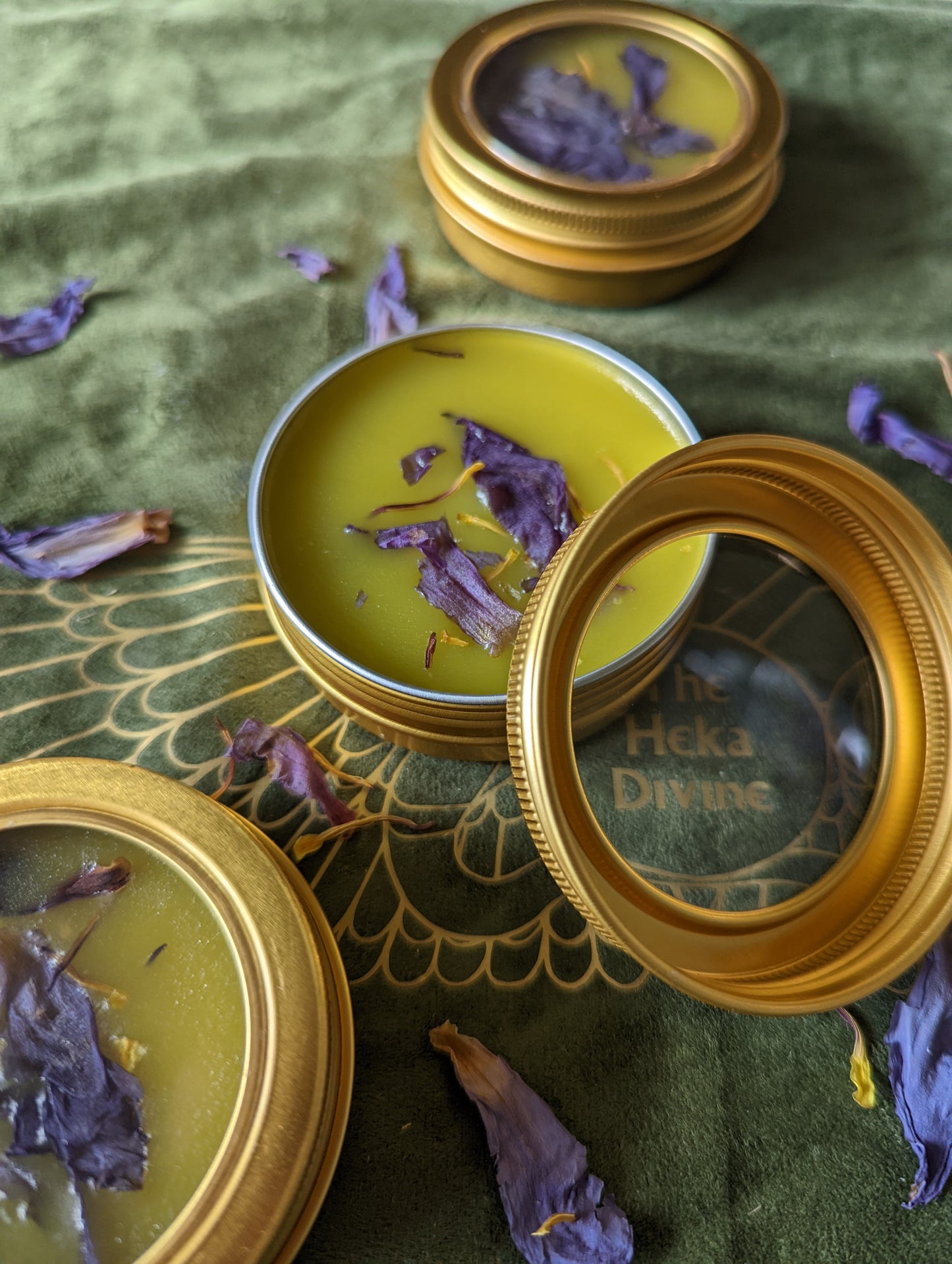 Hedgerider (Flying Balm)