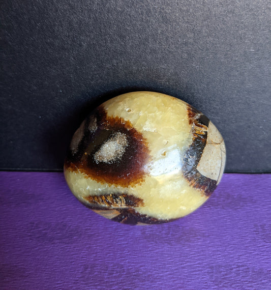 Septarian Palm Stone