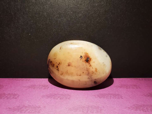 Dendritic Agate Palm Stone